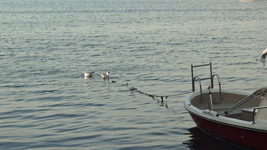 A serene and minimalist shot of a traditional boat anchored in a quiet harbor with calm blue water ripples and a clear horizon background under soft daylight