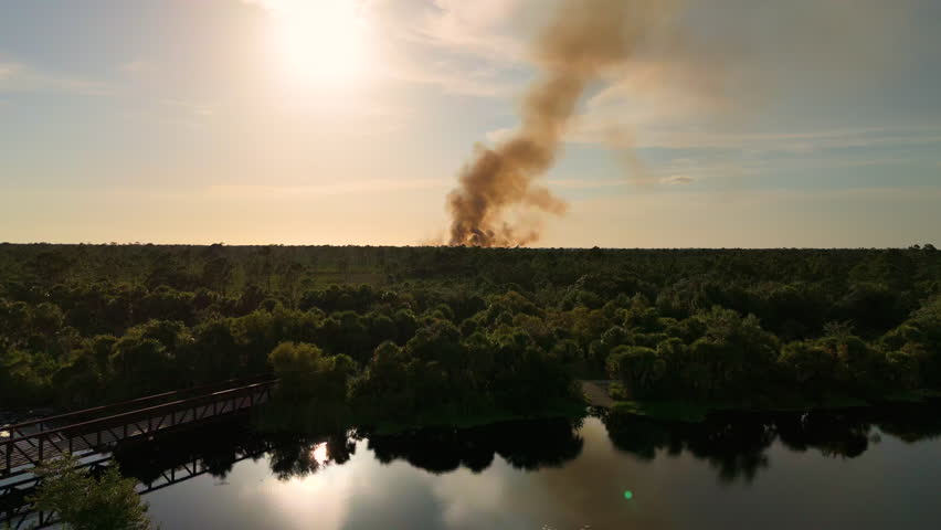 Dense smoke and blazing flames dominate Florida woodland during destructive wildfire in peak dry season.
