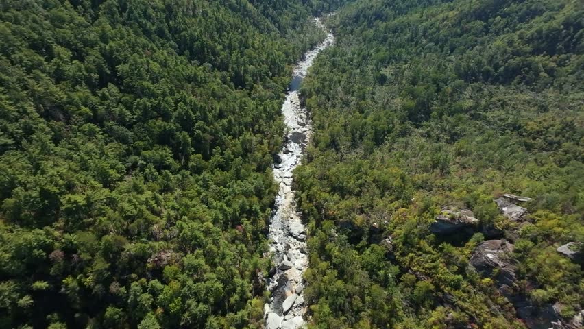 Aerial Closeup USA Mountain River Rapids Rushing Over Rocky Channel, Turbulent Whitewater Cutting Through Green Slopes, Sunlight Reflecting On Spray And Energetic Outdoor Motion