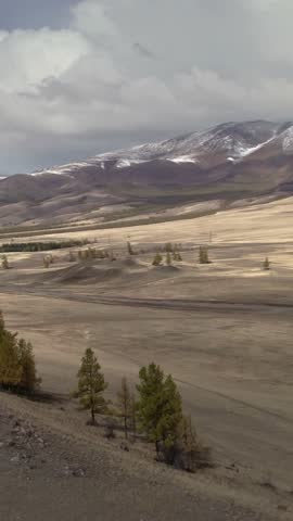 4K Vertical Mountain Steppe Valley with Snowcapped Peaks and Sparse Trees
