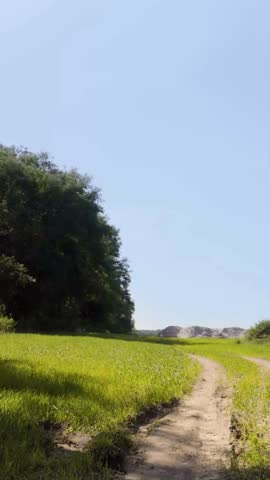 Vertical Dirt Path Through Green Meadow Under Blue Sky