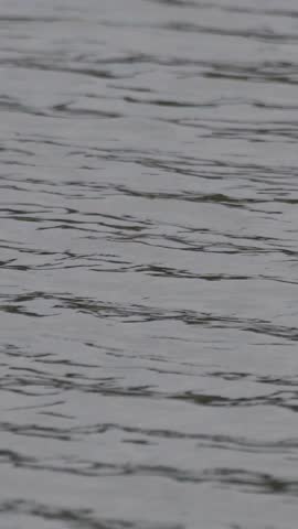 Vertical Close-Up of Gentle Water Ripples on Lake Surface