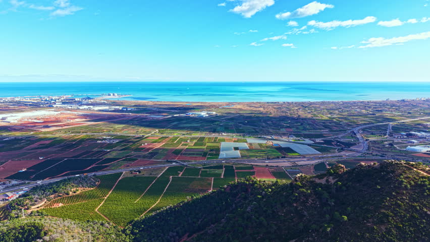 Vineyards stretch across the land next to a blue ocean. A city appears in the distance. Green fields contrast with the blue sky. Roads connect different areas in the landscape.