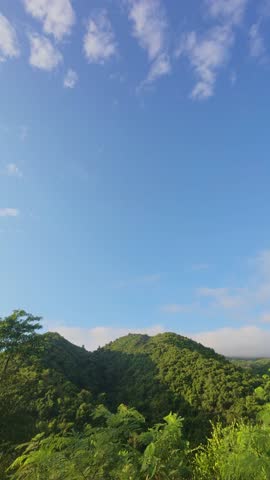 Lush Green Hills Under a Blue Sky