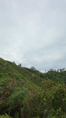 Lush Green Hills Under Cloudy Sky