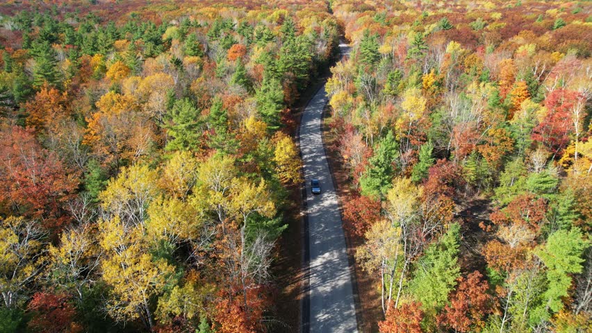 Aerial view of Door County Wisconsin Country roads in Autumn.  Dramatic view of black car driving on warm fall sunny day.  Drone view of black bird flying by.