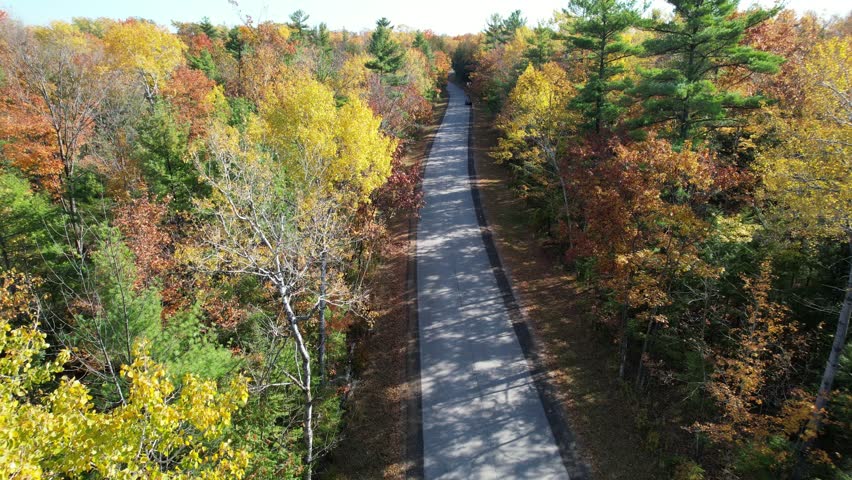 Aerial view of Door County Wisconsin Country roads in Autumn.  Dramatic view of black car driving on warm fall sunny day.  Slow Drone shot through narrow forest corridor.