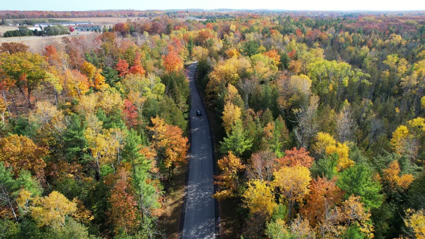 Aerial view of Door County Wisconsin Country roads in Autumn.  Dramatic view of black car driving on warm fall sunny day.  Nosedive drone shot of car pulling over to the side of the road.
