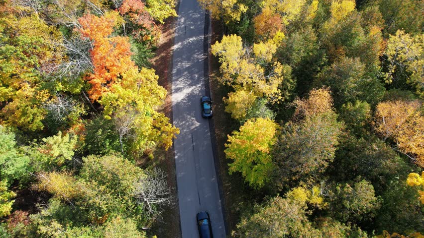 Aerial view of Door County Wisconsin Country roads in Autumn.  Dramatic view of black car driving on warm fall sunny day.  Bird