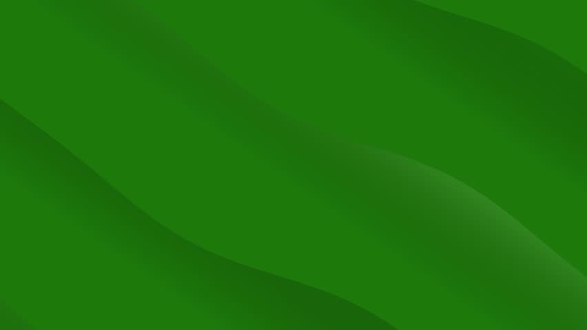 Close-up of a green leafy plant