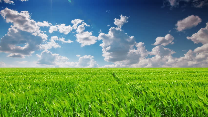 green field and cloudy sky Royalty-Free Stock Footage #4023157