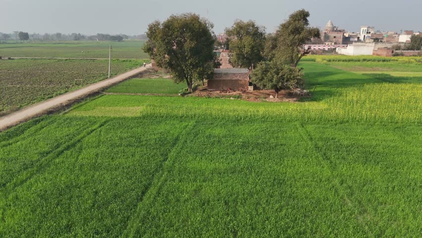 Beautiful Rural Farm Landscape with Trees and Green Nature View