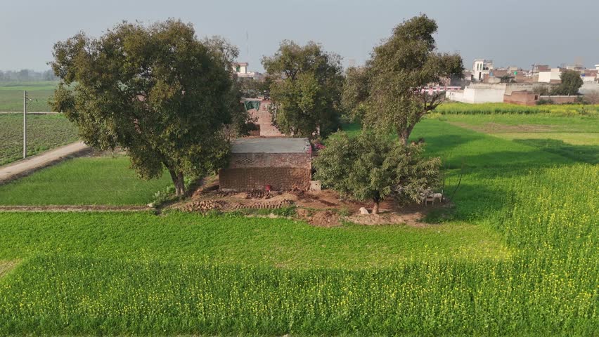 Beautiful Rural Farm Landscape with Trees and Green Nature View