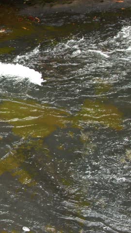 A static medium shot captures white water rapids and bubbling stream currents in Palau