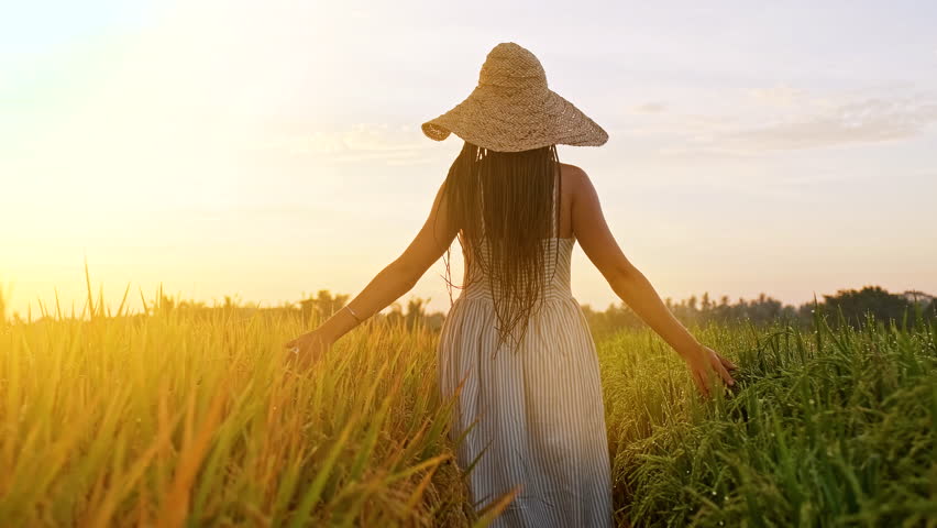 Young woman with long braids wearing a flowing sundress and straw hat walks through a sunlit rice paddy at sunrise, gently touching the plants. Rear-view full-body shot captures her enjoying freedom