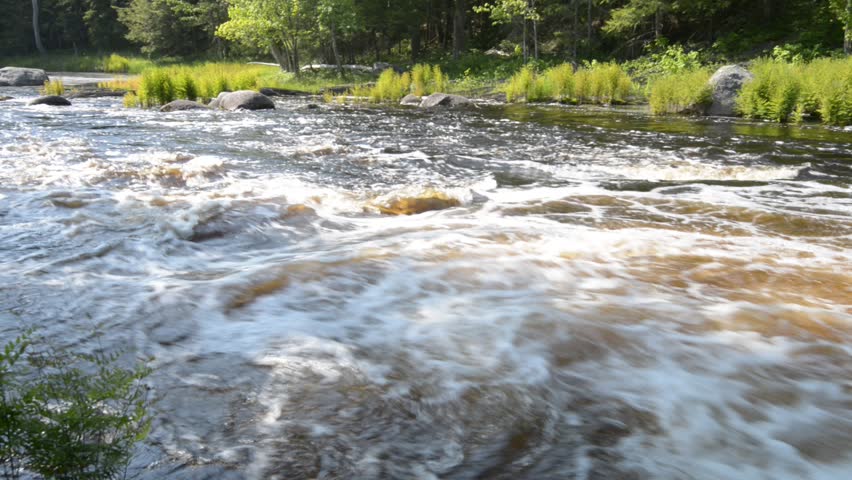 River in Forest, With sound. High definition.
Location: Kejimkujik National Park, Nova Scotia, Canada