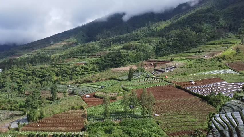 Aerial view of vegetable farms in the Indonesian countryside, showing green plantations across the hills and a peaceful rural village surrounded by natural landscapes and fresh mountain atmosphere