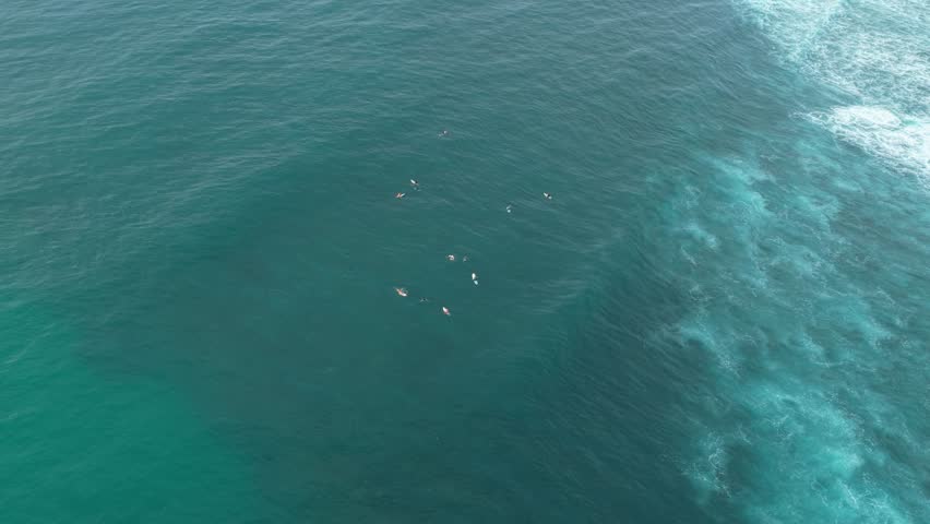 Group of surfers sitting on their boards waiting for a wave in turquoise ocean water. An amazing high angle view of a tropical surf spot