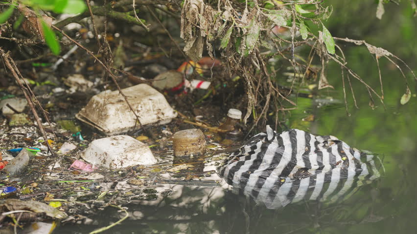 water pollution in river with styrofoam food containers, plastic bag and other single use waste, environmental concept, bali, indonesia, southeast asia
