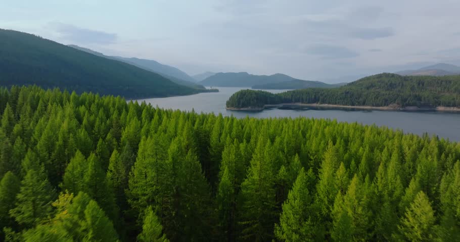 Hungry Horse Reservoir surrounded by dense evergreen forest in Flathead National Forest outside Glacier National Park, aerial drone dolly over treetop canopy