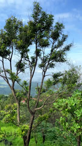4K Blue Sky Clouds Over Mountain Landscape | Cinematic Nature Background , Mountain Landscape with Moving Clouds and Clear Blue Sky