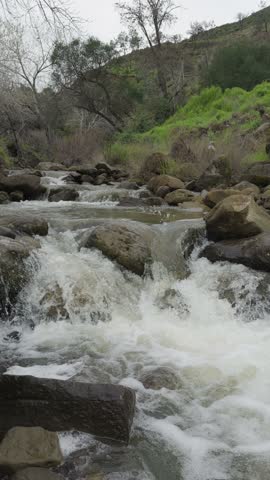 Vertical view of a fast flowing California creek rushing over rocks