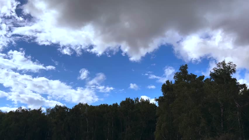 Gray clouds over the forest. Spring Time.