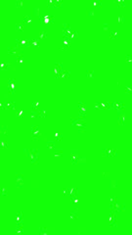 Falling pink cherry blossom petals animation on green screen for spring overlay.