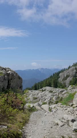 Expansive mountain landscape in British Columbia, Canada, showcasing rocky peaks, evergreen forests, and a clear blue sky.