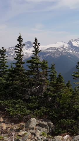 Stunning panoramic view of rugged snow-covered mountains, dense evergreen trees, and a vast valley in British Columbia, Canada.