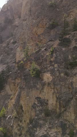 Impressive cliff face with diverse rock formations and resilient trees in the rugged landscape of British Columbia, Canada.
