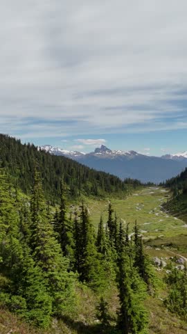 Beautiful mountain valley in British Columbia, Canada, featuring lush green meadows, dense forest, and snow-capped peaks.