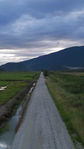Remote gravel road amidst vibrant green fields and majestic mountains under a cloudy sky in British Columbia.