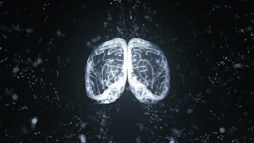 Rotating human brain xray style on dark background with stars