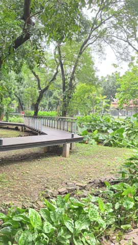 portrait park landscape with curved pathway green trees and urban nature environment