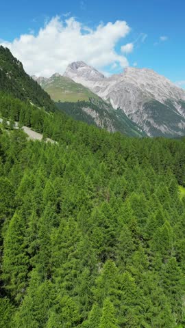 Swiss National Park in the Engadine valley Switzerland outdoor nature, vertical video format