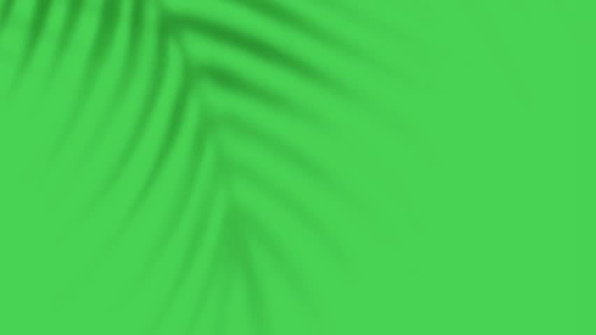 Realistic Tropical Palm Leaf Shadow Animation on Green Screen Chroma Key, Aesthetic Summer Sunlight Overlay, 4K.
