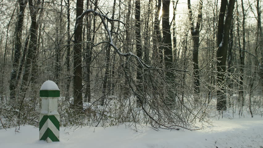 A winter forest scene featuring a snow-covered road marker and tree branches coated in ice, glowing in soft morning sunlight.