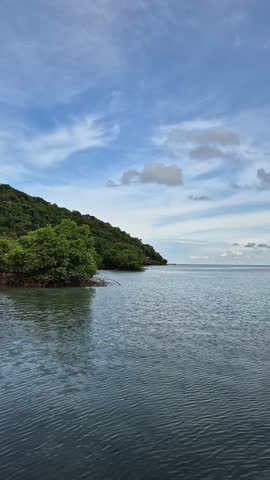 Lush mangrove forest growing along the edge of clear shallow coastal water with visible roots spreading into the sea. The green tropical vegetation lines the shoreline with a hillside covered in dense forest in the background under a bright blue sky. This natural landscape highlights coastal ecosystems, mangrove habitats, environmental conservation, and tropical nature, perfect for themes related to biodiversity, marine environments, and sustainable ecosystems.