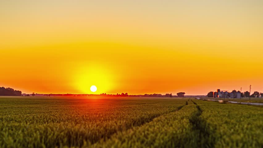 Sunset over grain farmland with changing summer colors and warm evening light. Timelapse landscape showing fading sunlight, rural horizon and seasonal atmosphere.