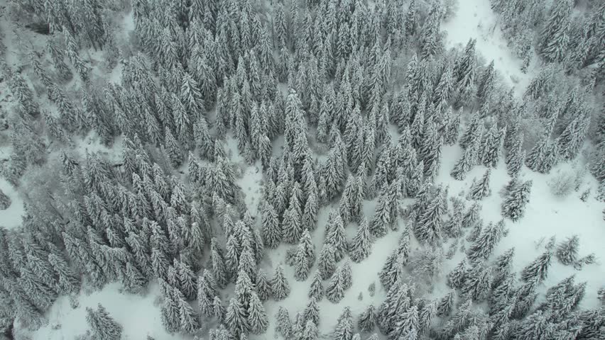 Aerial view of Lac de Taney in winter, Switzerland.