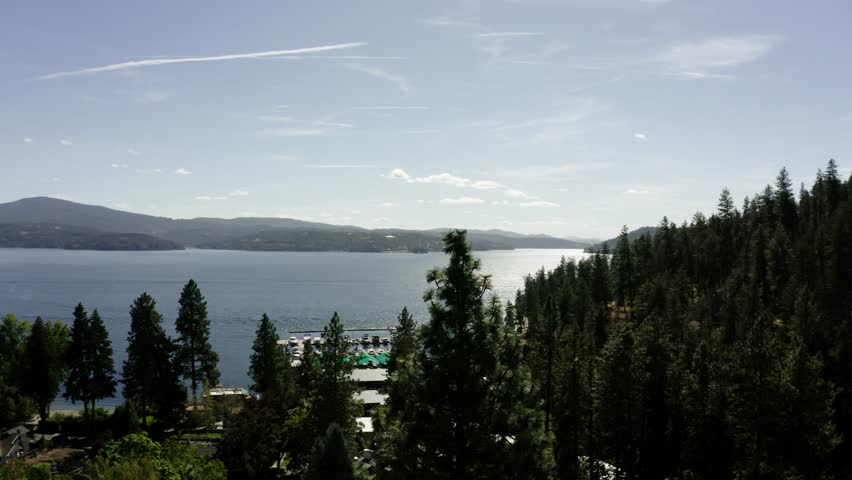 Aerial view of a large tree overlooking Lake Coeur d