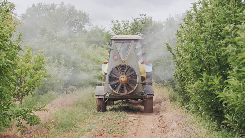 An industrial tractor using a high-pressure mist blower to treat fruit trees in an orchard