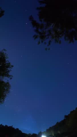 Timelapse of Starry Night Sky Above Trees