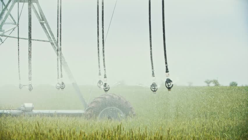 Center pivot irrigation system watering a green wheat field