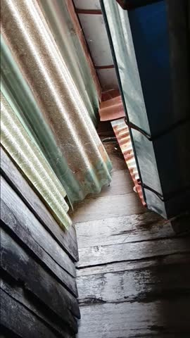 Spider Web on The Wood Wall