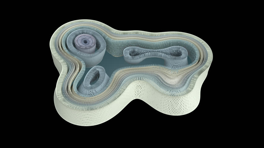 Cell cycle cross section with mitosis, cytokinesis and daughter cell formation on transparent background.