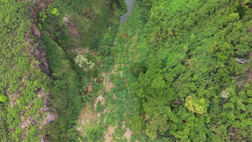 Smooth top-down drone flight along Ravine Bernica river gorge with birds below, Saint-Paul, Reunion Island

