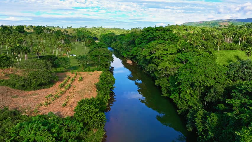 Aerial view of a forest river landscape. Tropical rainforest ecosystem, healthy environment concept and background. Green woodland texture, aerial view. Dominican Republic National Park.