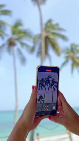Person Recording Tropical Beach and Palm Trees on Smartphone Video